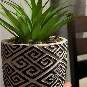 Meet your Posher, Dayamiris